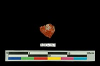 藏品(碧玉)的圖片